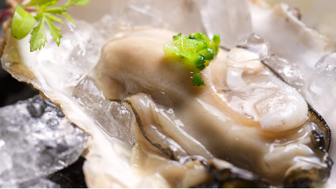吃生蚝真的让人欲火焚身?正确处理看这里!